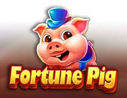 Multi-category game selection on konterwd login platform